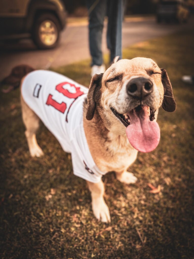 dog smiling in Atlanta Braves baseball jerseys, wedding rings, in the Bible, book, design, couple in love, bride and groom, kissing in their gown and suite, young couple kissing with red roses in the background, groom, bride, young couple in love wearing Atlanta Braces baseball jerseys, intimately kissing, guitarist, rock band, live musician, rock star, singer, live music performance, singer , black and white art print of mixed race couple walking away in the distance in love, with Atlanta braves jerseys on, mixed race couple in love standing by the water with baseball jerseys on, atlanta, georgia braves, young caucasian male model, suit, and dress clothes, young caucasian couple with dance clothes, in love, going to dance, Nashville live music, Austin concert photography, Ryman Auditorium shows, Continental Club photography, Grand Ole Opry backstage, 6th Street live music, Music Row sessions, ACL Live Moody Theater, Bluebird Cafe performances, Antone's Nightclub, Exit/In concerts, Stubb's BBQ stage, Station Inn bluegrass, The Saxon Pub shows, Schermerhorn Symphony, Paramount Theatre Austin, Lower Broadway nightlife, South Congress music scene, Nashville recording studios, Austin City Limits tapings, SXSW festival coverage, Americana music fest, CMA Fest photography, Nashville songwriter rounds, Austin blues scene, Tennessee performing arts, Texas live music capital, musician portraits, guitar details, drum kit close-ups, stage lighting, backstage access, green room moments, soundcheck photos, artist candids, venue architecture, music festival coverage, instrument details, concert crowd shots, honky tonk performances, music row portraits, studio sessions, album cover shoots, press kit photos, tour photography, documentary music, band promotional shots, artist headshots, editorial music photos, Nashville skyline, Austin music landmarks, vintage microphones, guitar silhouettes, amp details, pedal steel guitar, fiddle player shots, banjo close-ups, mandolin details, bass guitar focus, drum solos, keyboard artist, vocal performance, music merchandise, tour bus life, meet and greet photos, fan interactions, artist interviews, music journalism, red carpet events, awards shows, Nashville fashion, Austin music style, concert atmospherics, venue exteriors, neon signs, marquee shots, street performers, buskers on Broadway, artist rehearsals, music video stills, album release parties, record stores, vintage guitars, music memorabilia, artist collaborations, songwriting sessions, music production, studio gear, mixing board details, Nashville cat musicians, Austin session players, genre-crossing, country music, rock photography, indie music scene, blues performers, jazz artists, folk singers, americana artists, alternative bands, punk shows, metal concerts, hip-hop performances, electronic music, classical concerts, opera performances, symphony shows, music festivals, outdoor stages, indoor venues, intimate shows, arena concerts, amphitheater shows, music workshops, guitar pulls, songwriter nights, music industry events, record label sessions