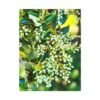 "Forgotten Grace" Canvas Wall Art - A Must-Have for Gallery Professionals and Art Collectors - Image 3