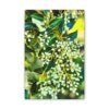 "Forgotten Grace" Canvas Wall Art - A Must-Have for Gallery Professionals and Art Collectors - Image 9