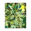 "Forgotten Grace" Canvas Wall Art - A Must-Have for Gallery Professionals and Art Collectors - Image 21