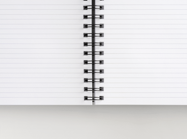 The "I've Got My Life Together (Sort Of)" Holiday Notebook