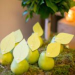 Place mat cards or Seat Chart Cards