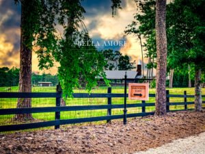 Photography of the countryside view of the outdoor chapel at Pine Knolls Farm in Appling, Georgia