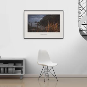 Overgrown Sands Fine Art Print
